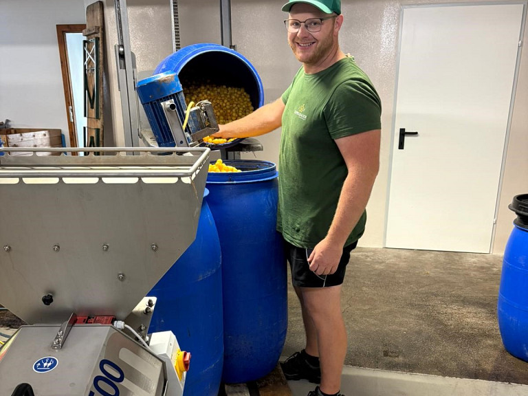 Einmaischen beim Mostbaron