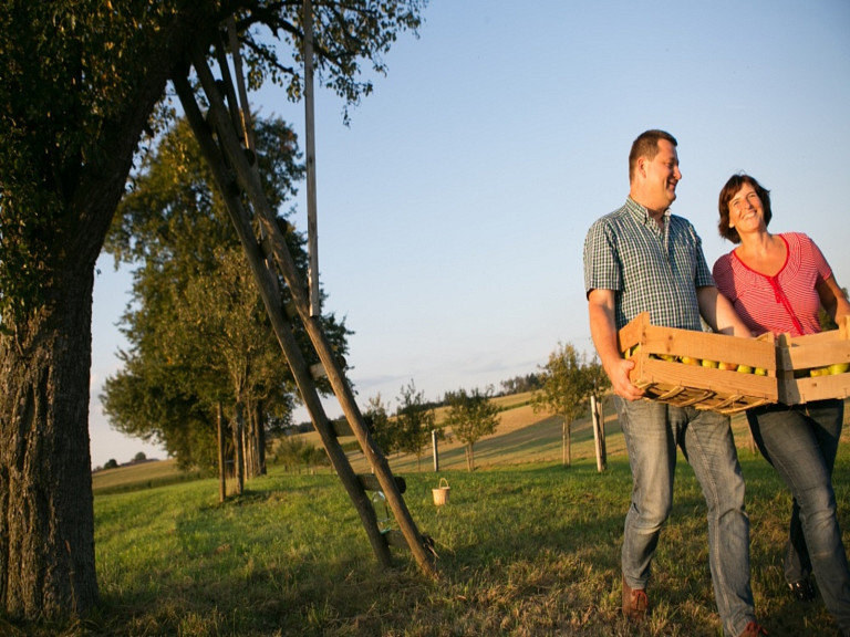 Streuobstwiesen-Lehrpfad im Mostviertel