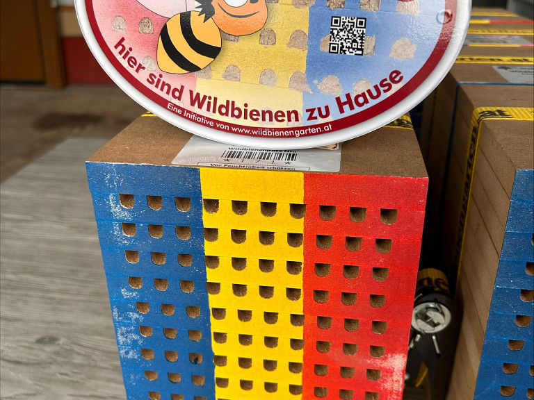 Wildbiene auf Birnbaumblüte